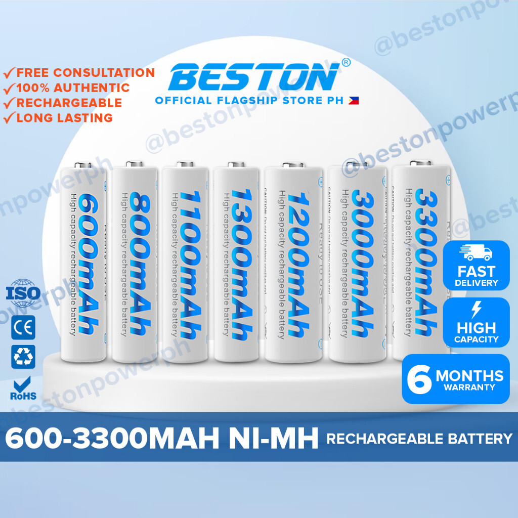 Batterie Beston rechargeable