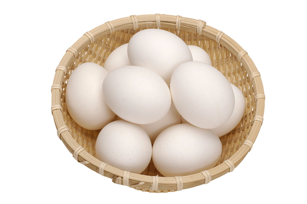 Oeuf vente à Dakar Maristes